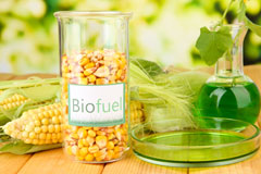 Eudon Burnell biofuel availability